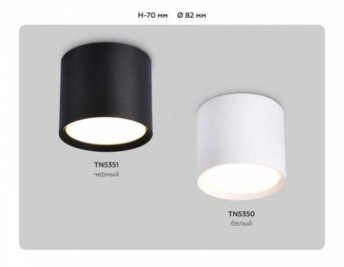 Накладной светильник Ambrella Light TN TN5350 в Нижнем Новгороде фото 5