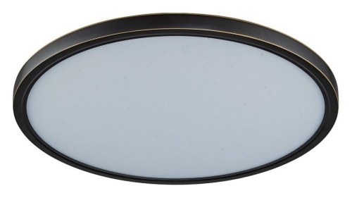 Накладной светильник Belfast Glenmore 8088-5H BL в Нижнем Новгороде