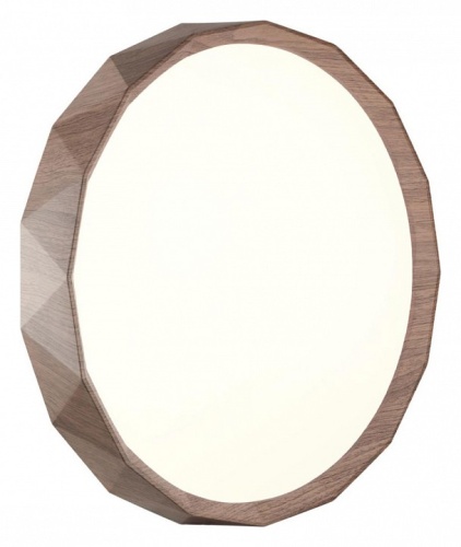 Накладной светильник Sonex Zif Wood 7637/AL в Нижнем Новгороде фото 4