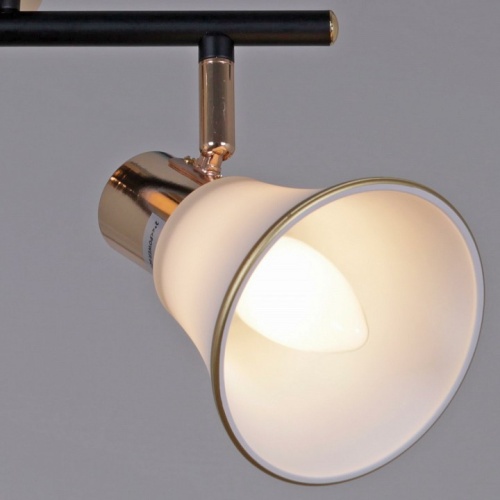 Люстра на штанге  05901-0.8-04 BK+FGD в Нижнем Новгороде фото 3