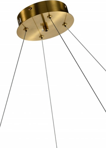 Подвесная люстра Zortes Rony ZRS.1200.08 в Нижнем Новгороде фото 2