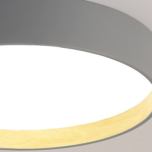 Накладной светильник Imperiumloft  Netty01 в Нижнем Новгороде фото 2